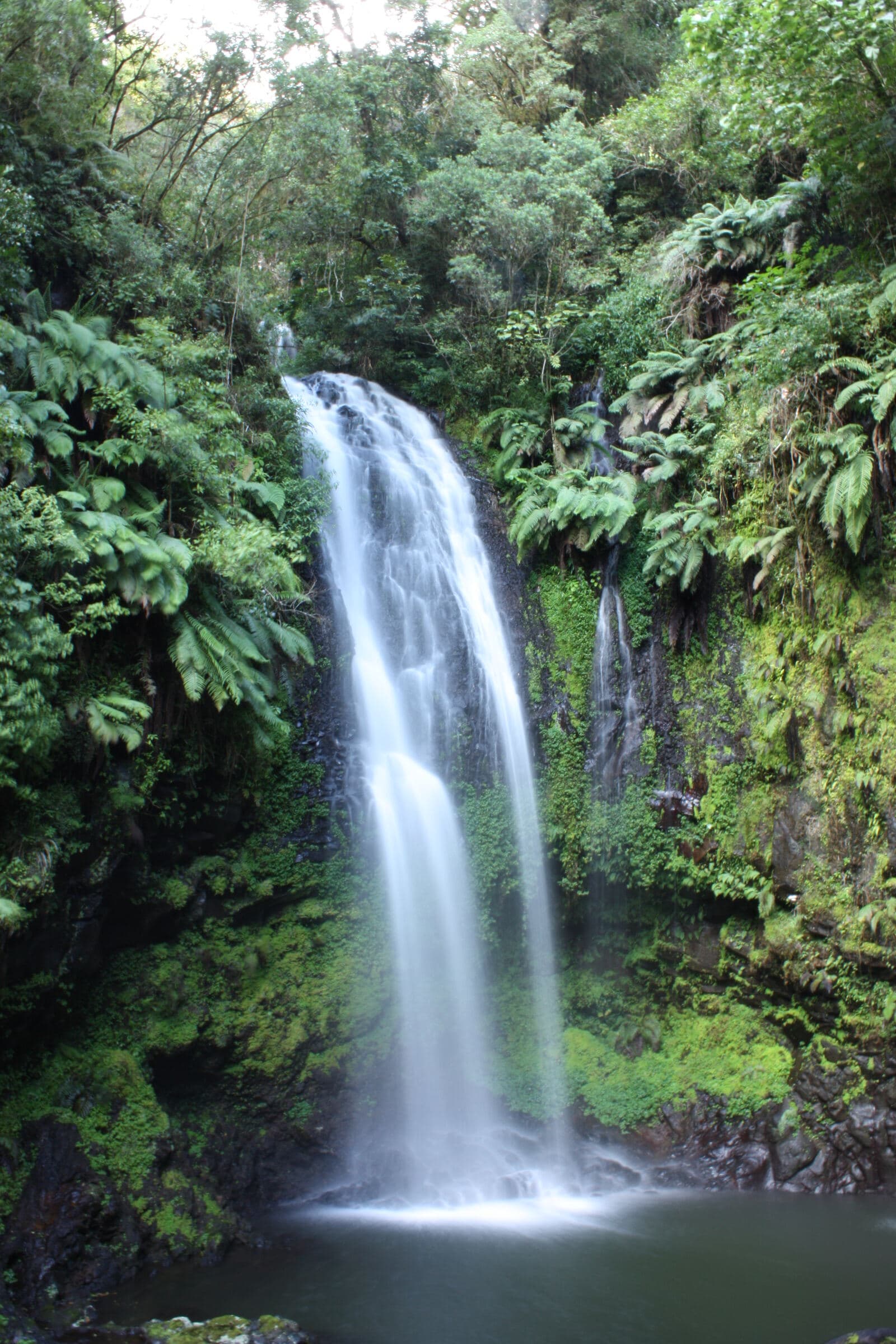 Cascade tombant dans un bassin au cœur de la forêt humide